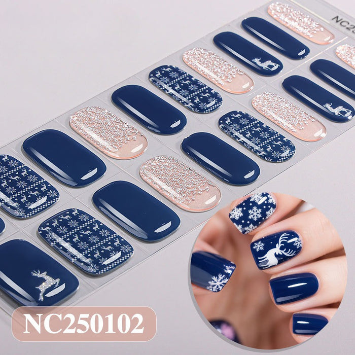 NC250102