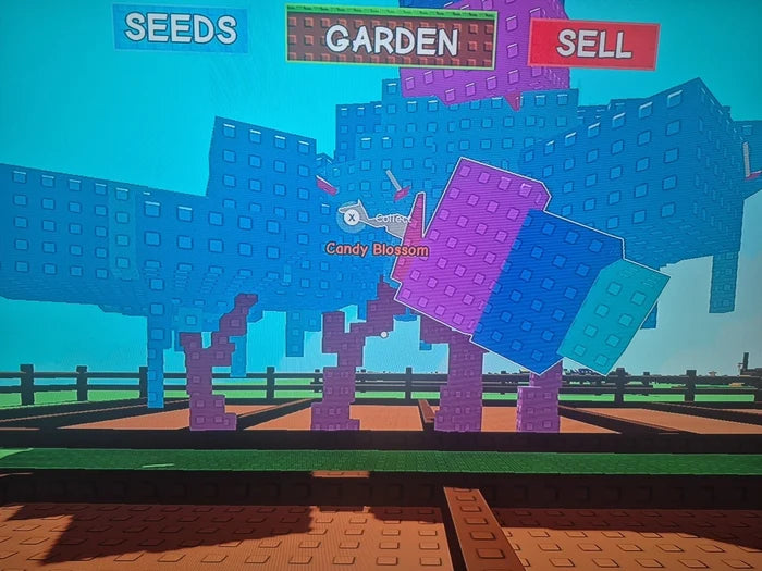 Candy Blossom Account Grow A Garden (4 Candy Blossoms)
