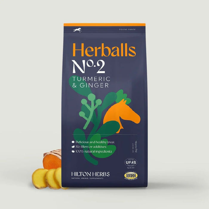 Hilton Herbs Herballs No2 Turmeric & Ginger 500gm