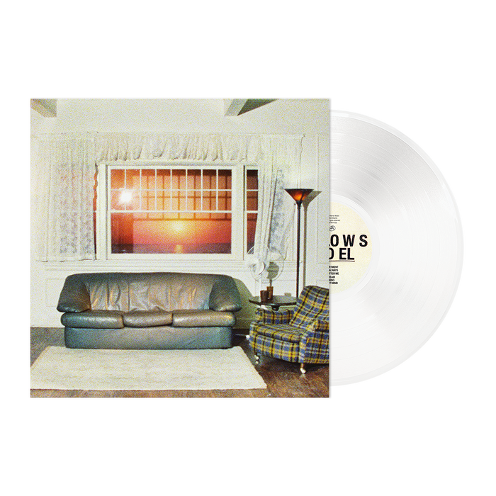Wallows Model LP Clear